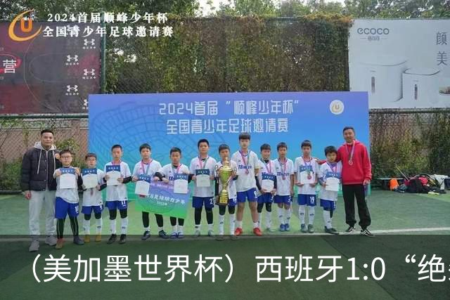 （美加墨世界杯）西班牙1:0“绝杀”葡萄牙 C罗结束世界杯征程